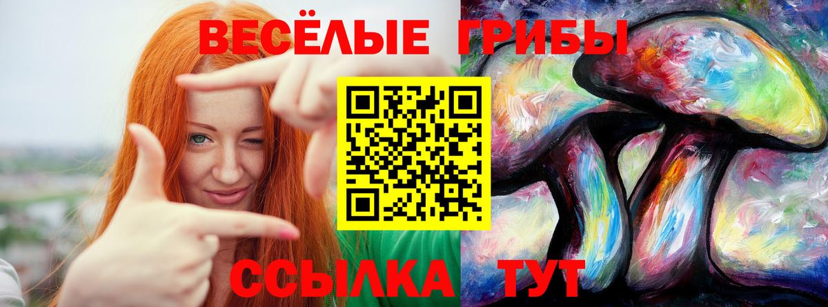 Галлюциногенные грибы мицелий  Вход с VPN  Дюртюли  Галлюциногенные грибы GOLDEN TEACHER 