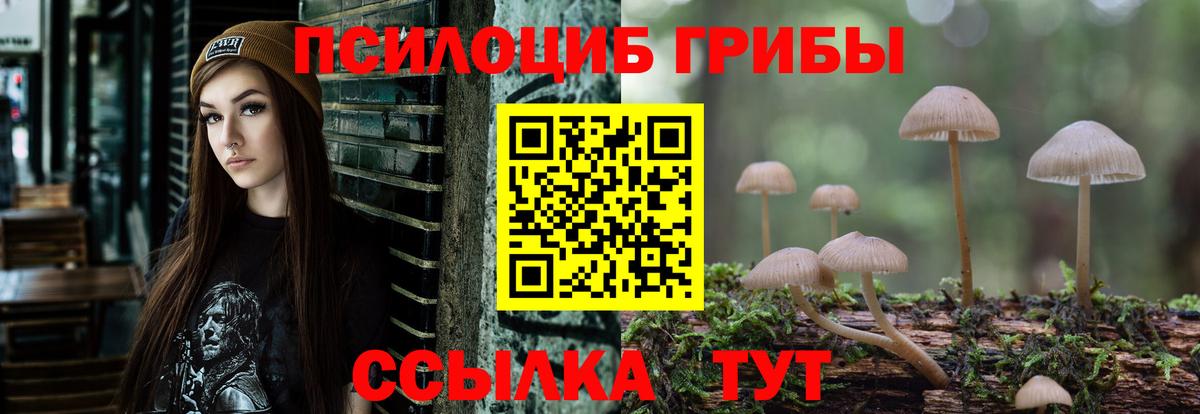 Псилоцибиновые грибы мицелий Дюртюли